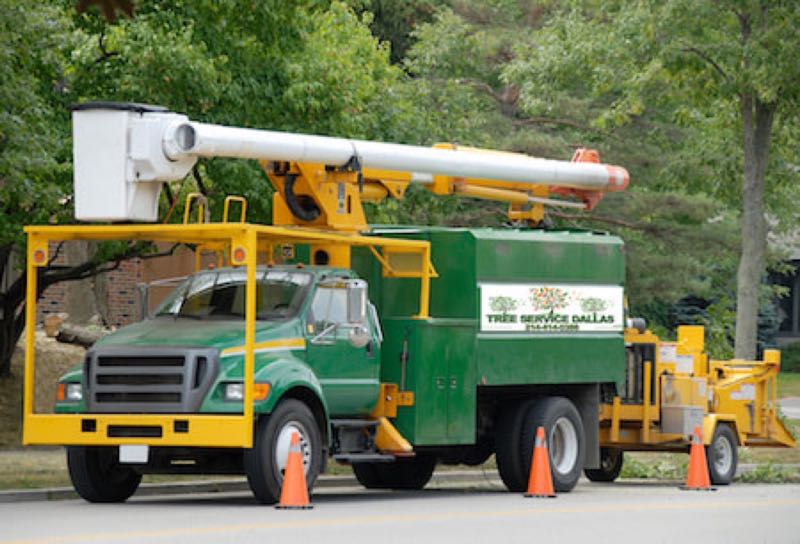Canopy Trimming in Rockwall