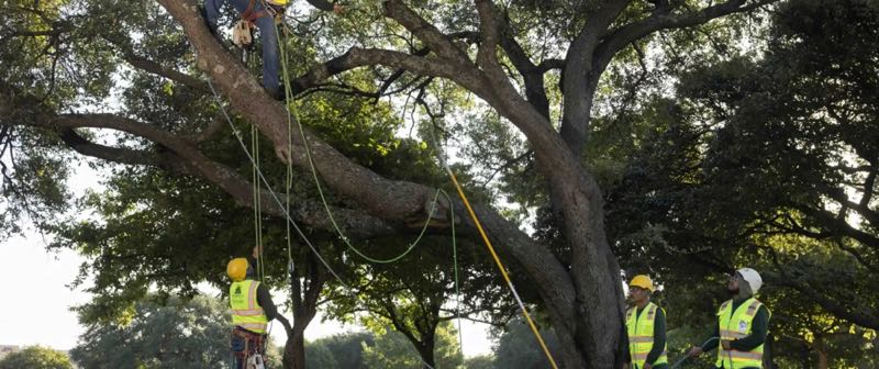 {SERVICE_NAME} project in Rockwall