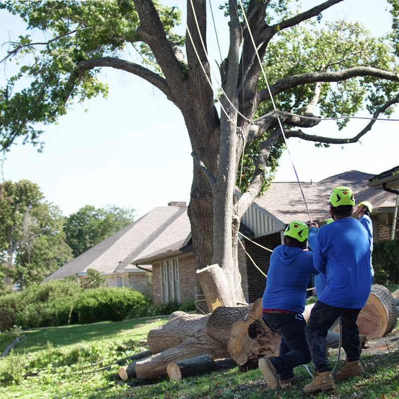 {SERVICE_NAME} project in Rockwall