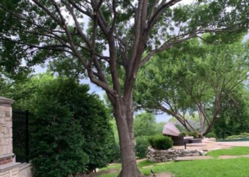 {SERVICE_NAME} project in Rockwall